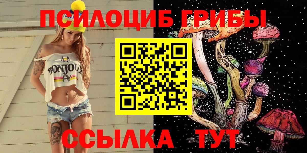Псилоцибиновые грибы Psilocybe Оренбург