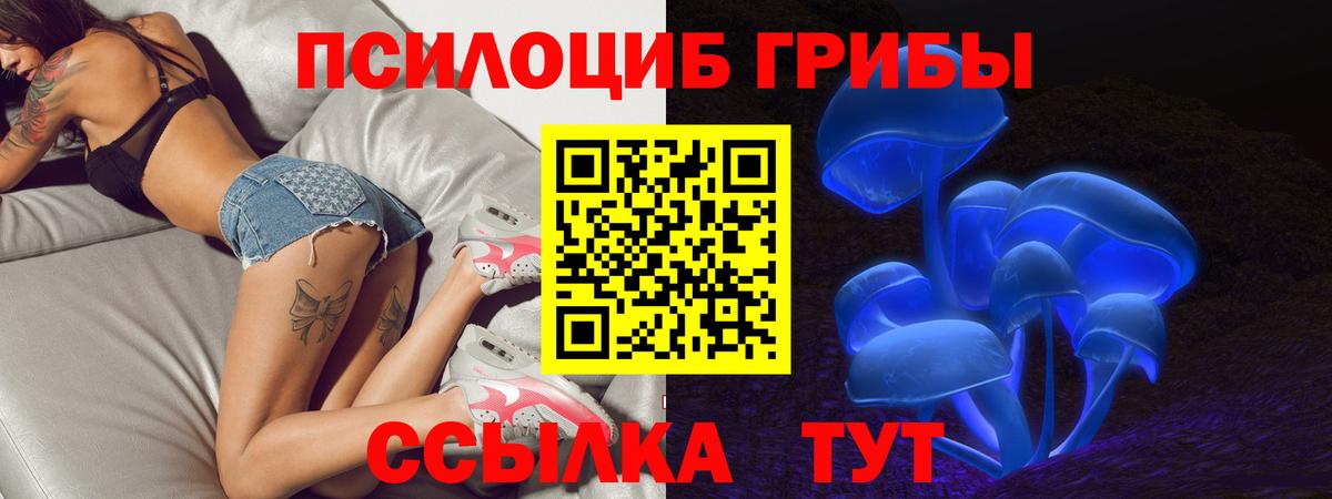 Оренбург  Галлюциногенные грибы мицелий  Вход с VPN 